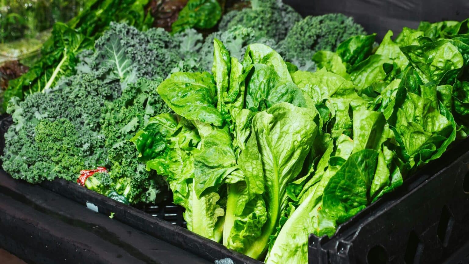 Curated visual reference: Gallery Detail: 7 Anti Inflammatory Foods That Can Be More Effective Than