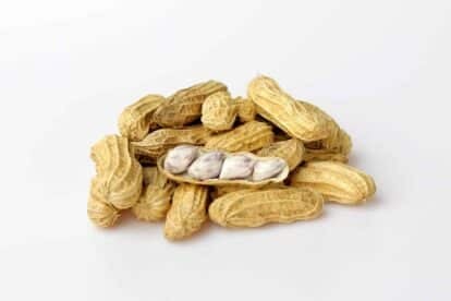 Boiled Peanuts