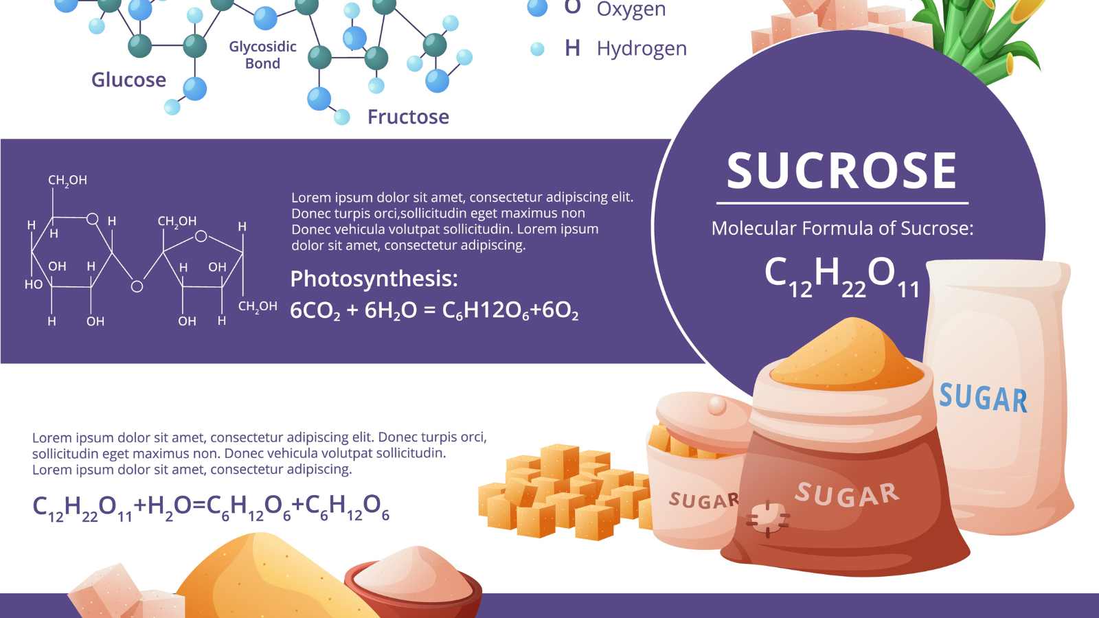 15 key differences between cane sugar and corn syrup