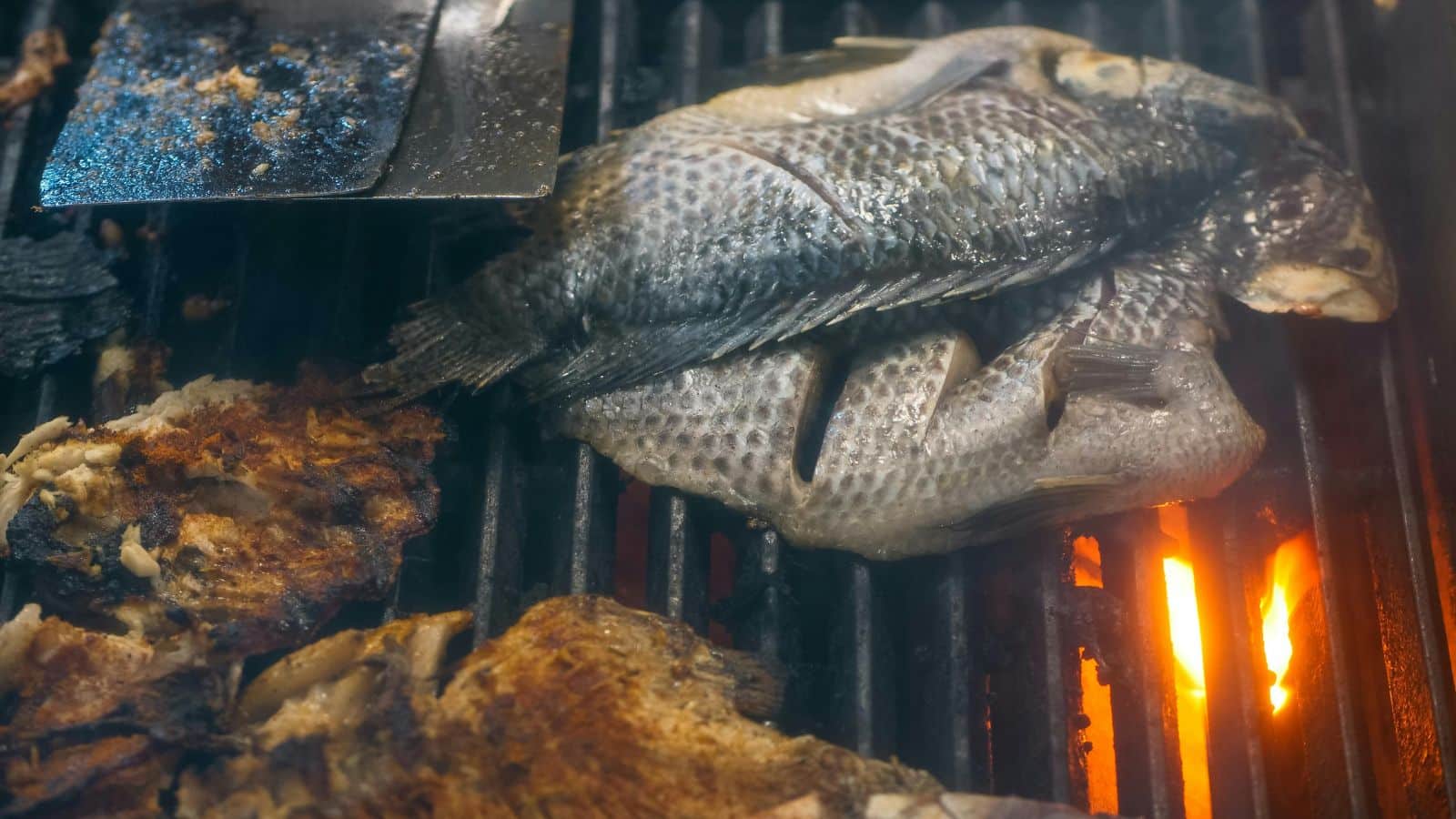 From Ocean to Plate: 14 Fish That Deserve a Spot on Your Must-Try List