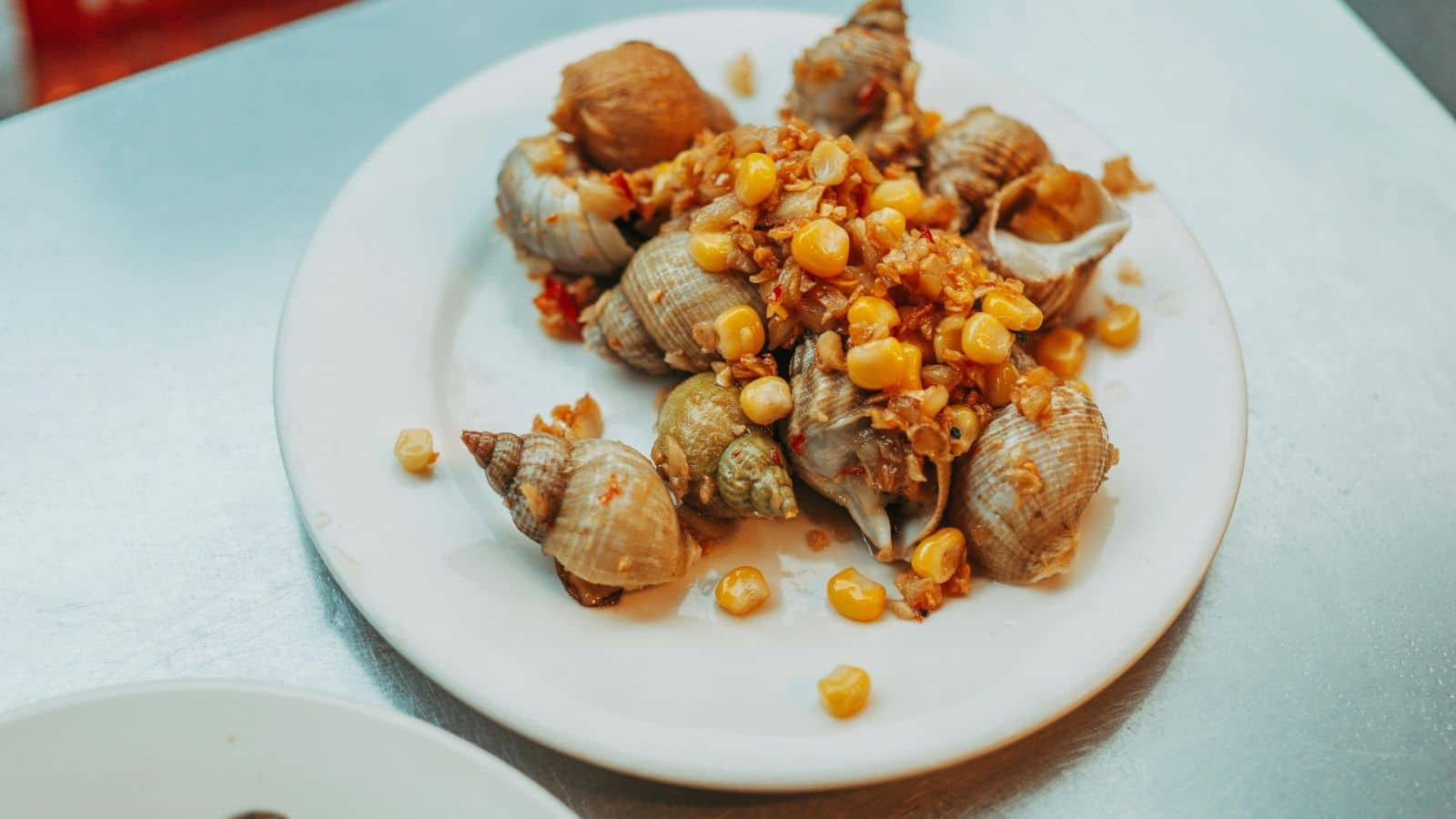 From Ocean to Plate: 14 Fish That Deserve a Spot on Your Must-Try List