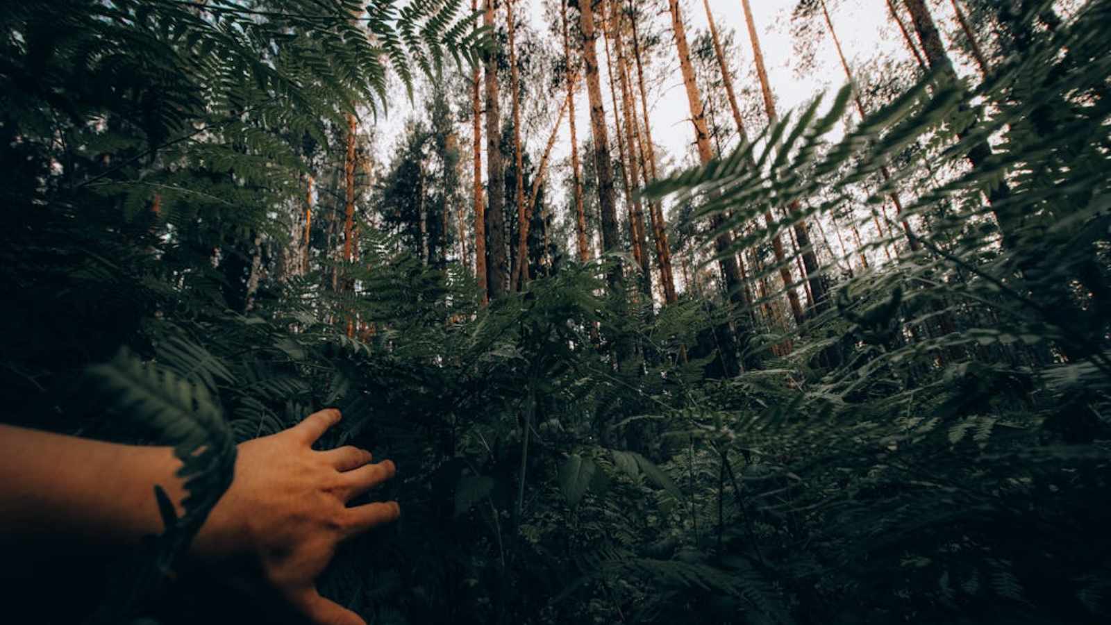 14 Things Americans May Not Have the Chance to Enjoy for Much Longer