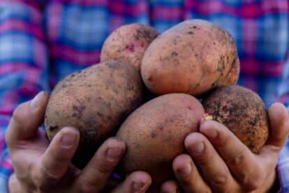 "Bad" Foods That Deserve a Healthy Comeback