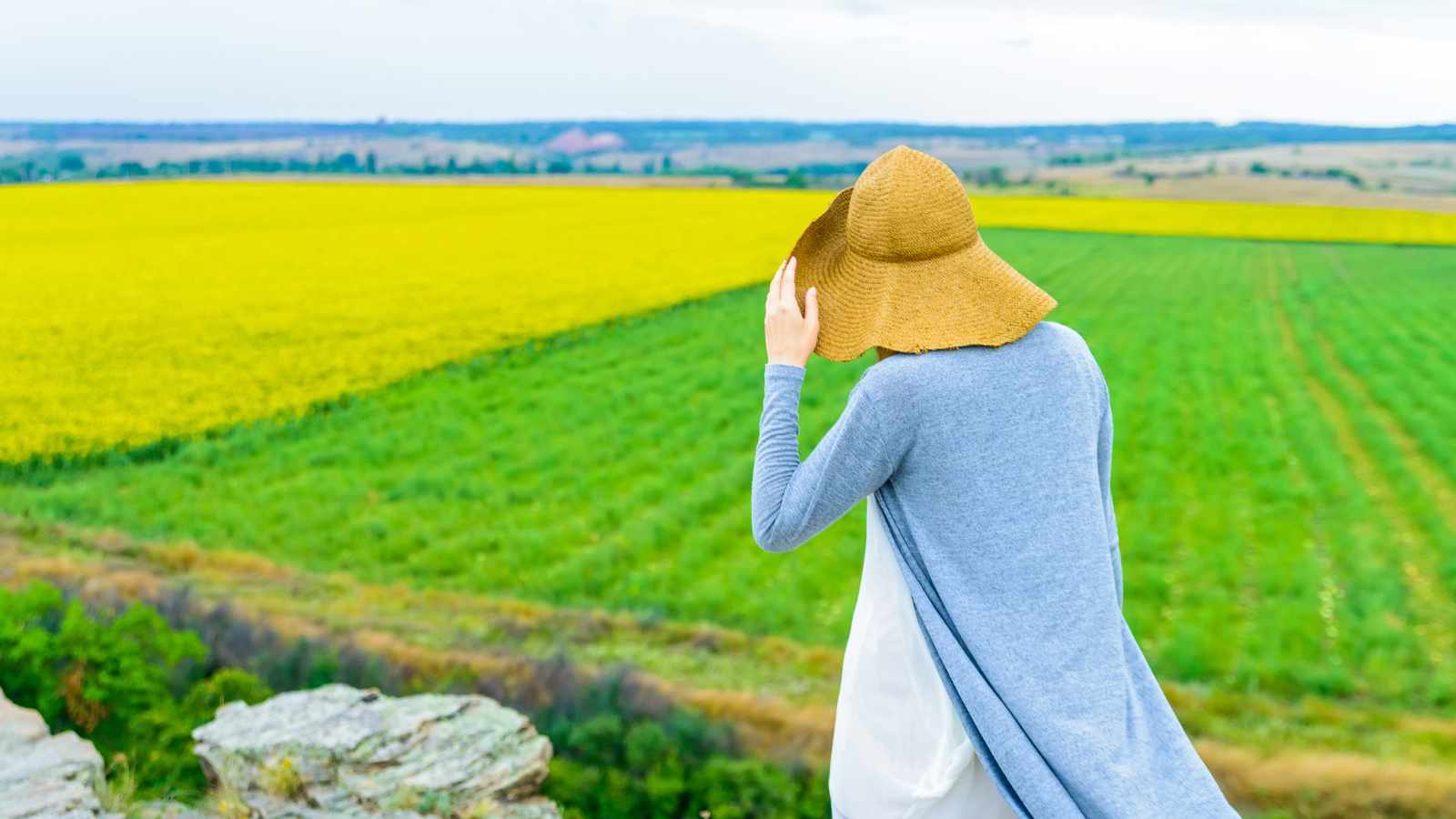 Irresistible reasons living in the country beats the city