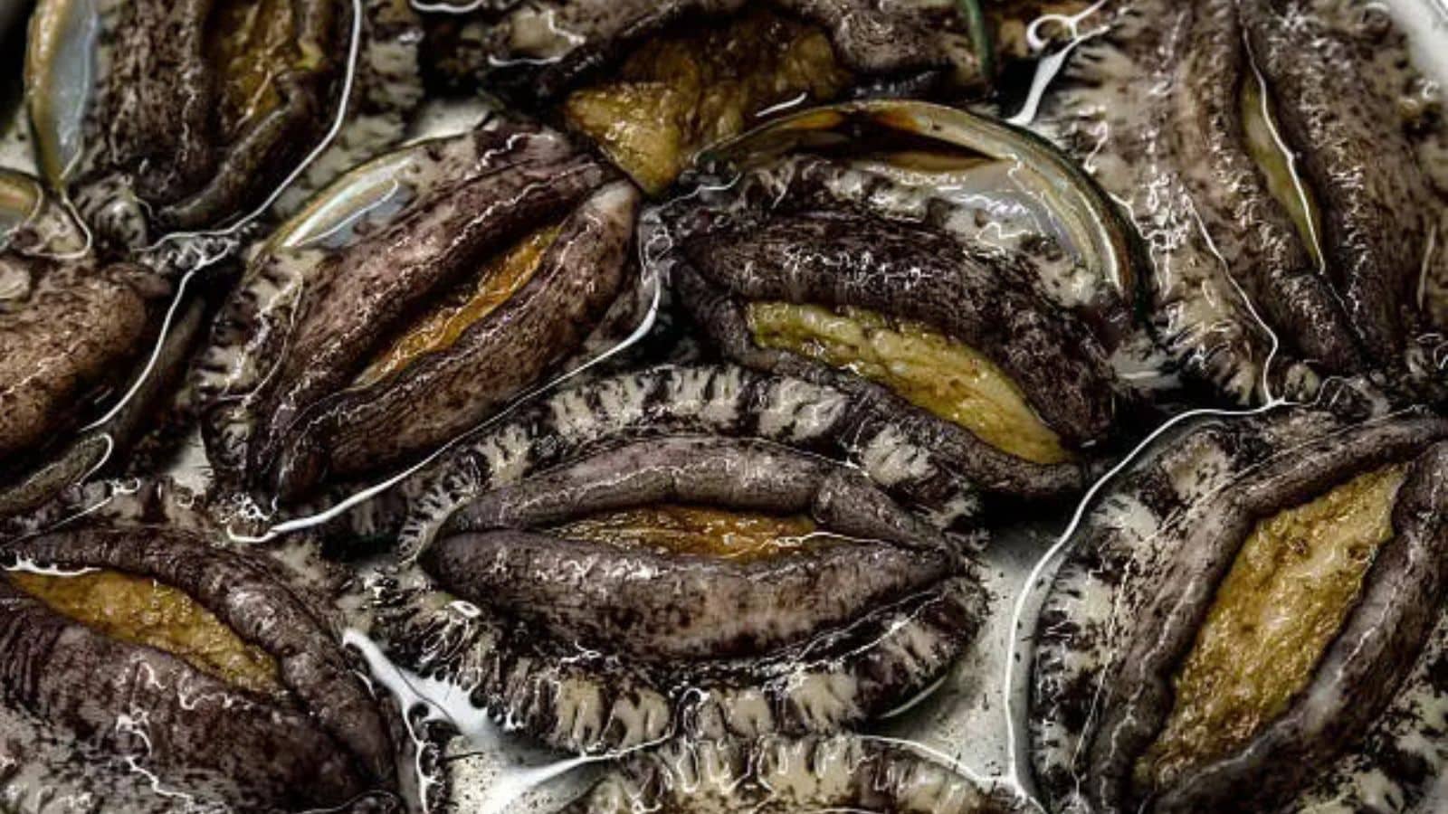 From Ocean to Plate: 14 Fish That Deserve a Spot on Your Must-Try List