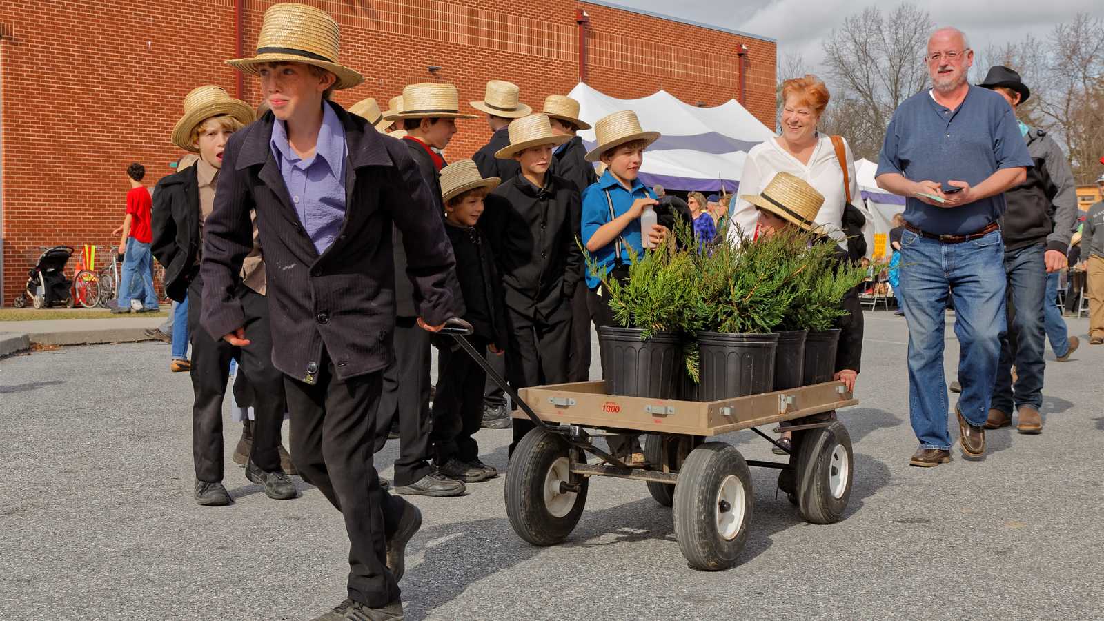 Allergies are everywhere — except in Amish life - FODMAP Everyday