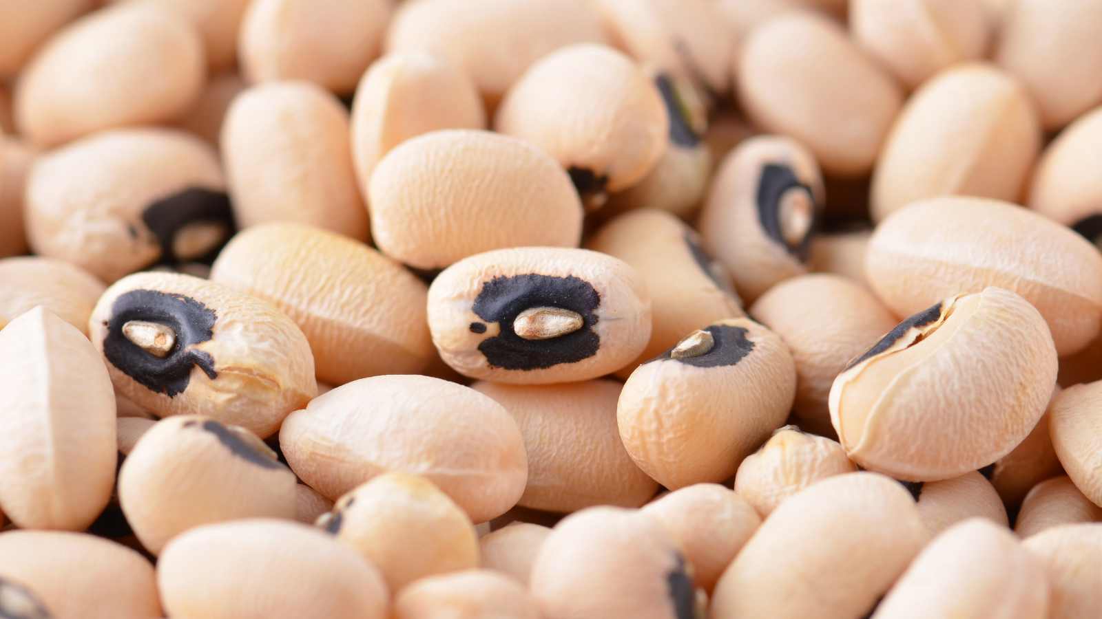 14 classic foods that defined Black family gatherings