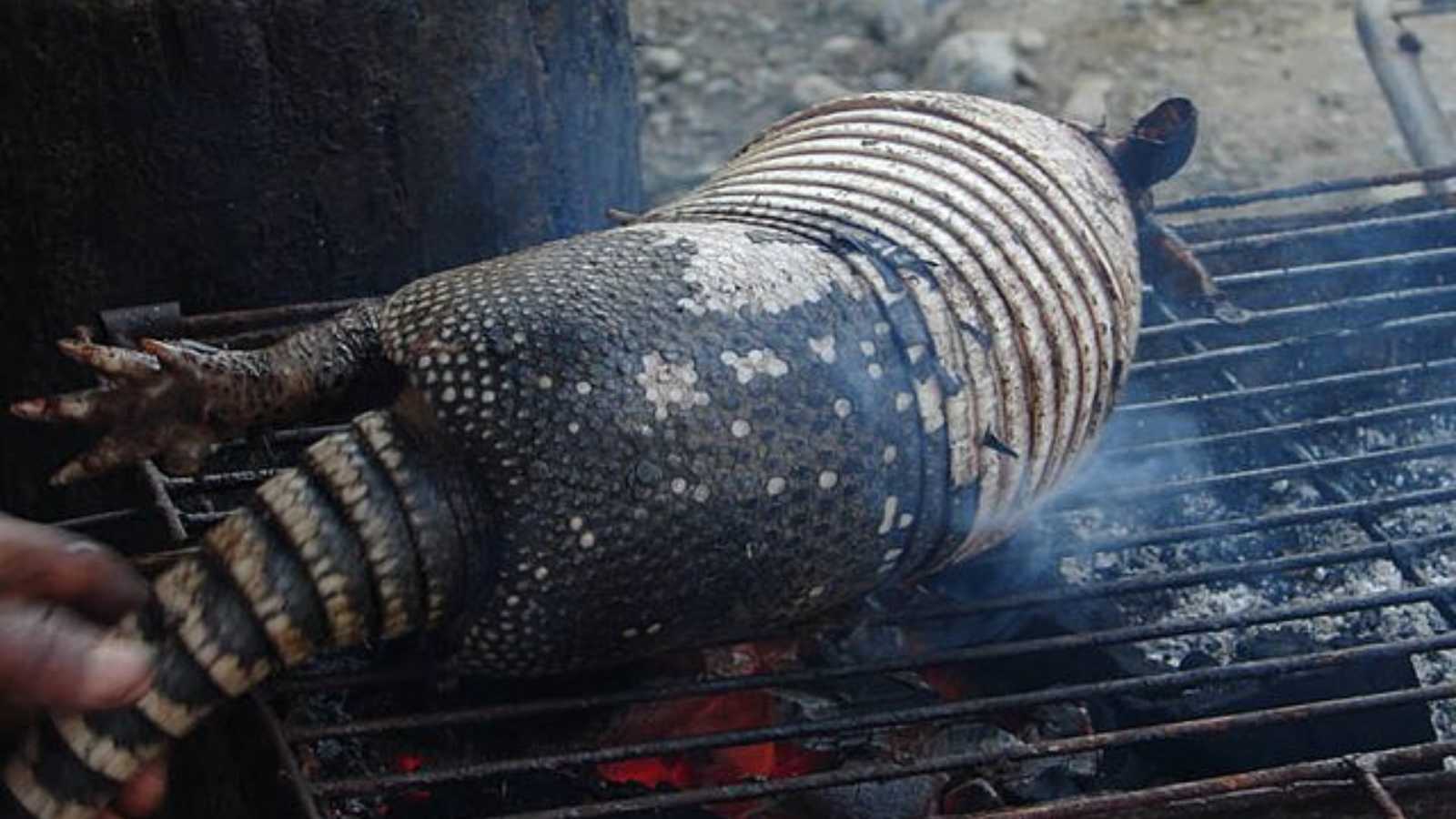 Most Controversial Foods on Earth