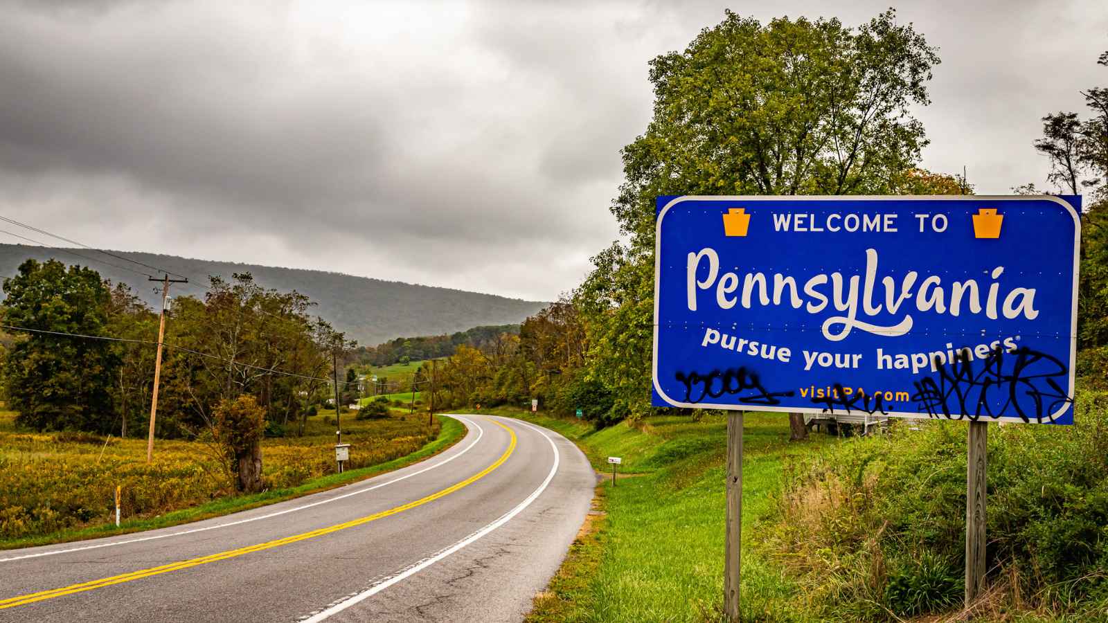 The Epicenter for Lyme Disease-Carrying Ticks is One U.S. State.