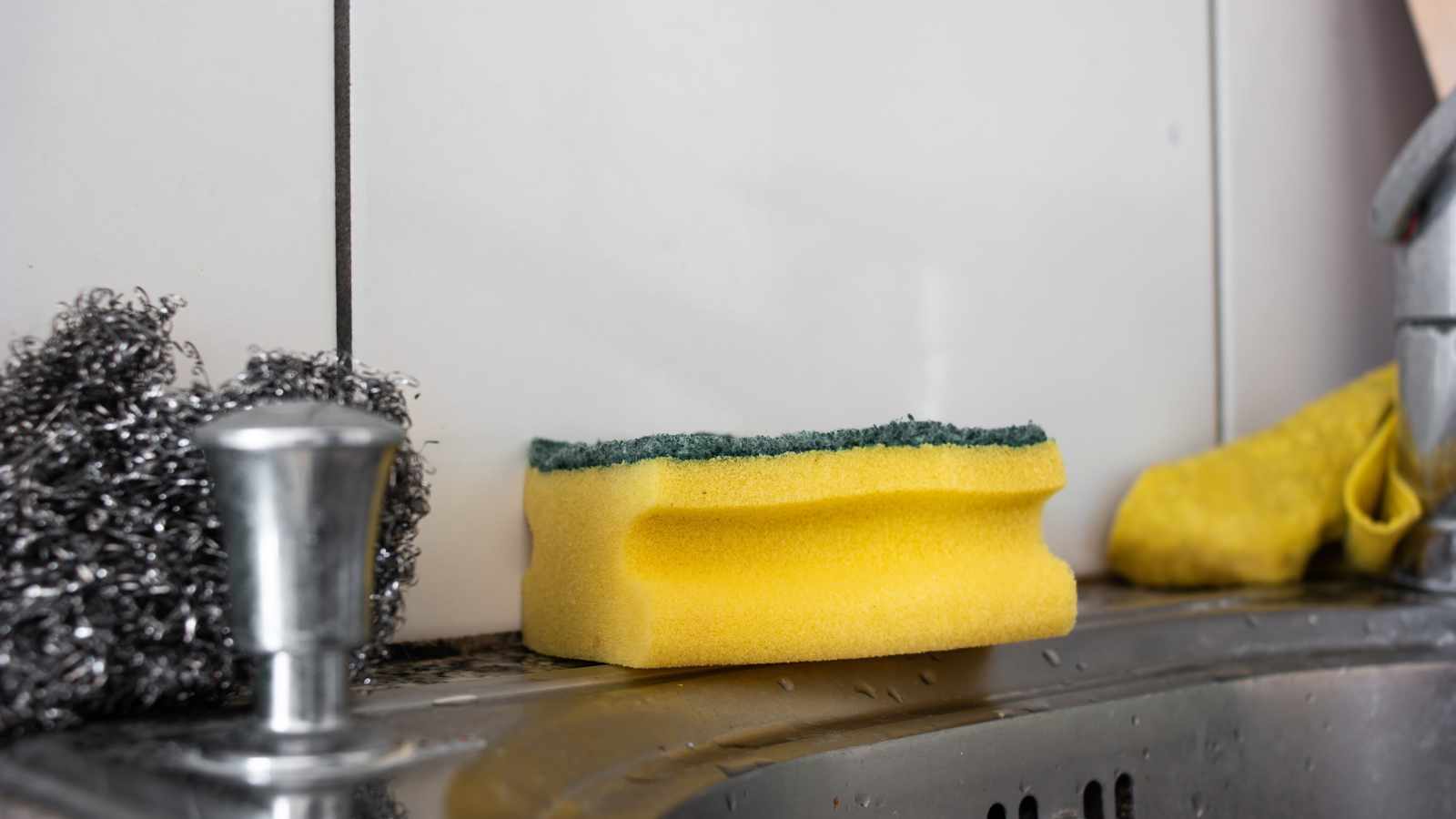 Sponges and dishcloths