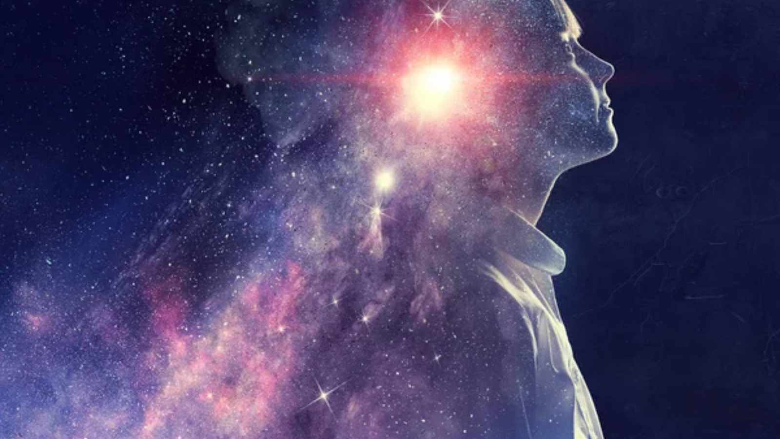 The universe may be conscious
