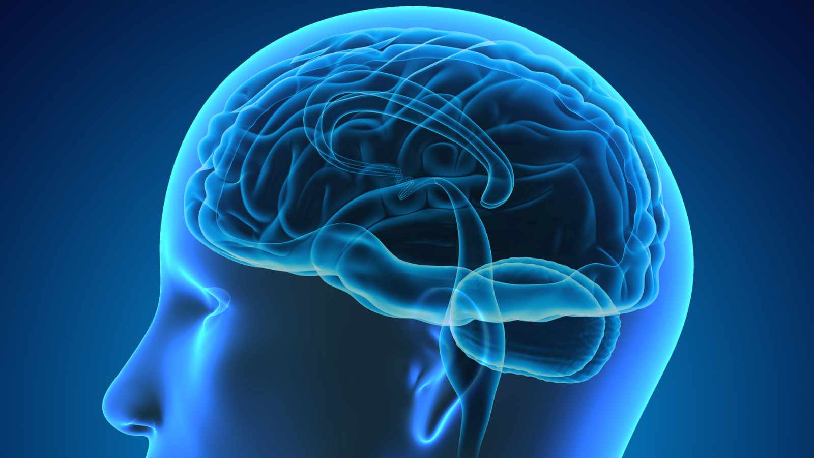They may harm brain health