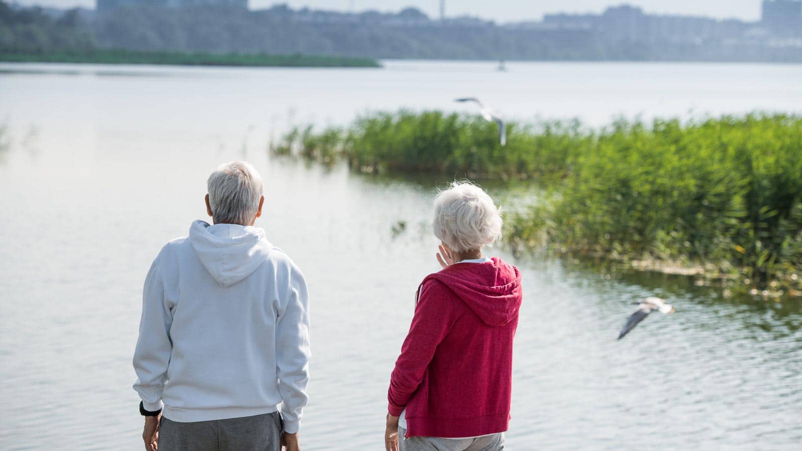 seniors bird watching. seventyfour74 via 123rf