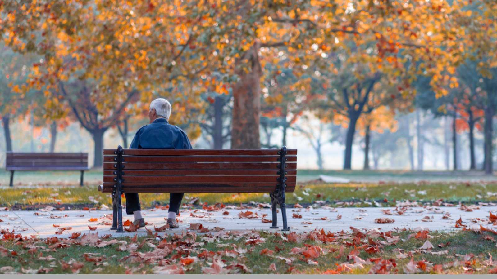 Lonely Senior Old Man Sitting on Bench in Park