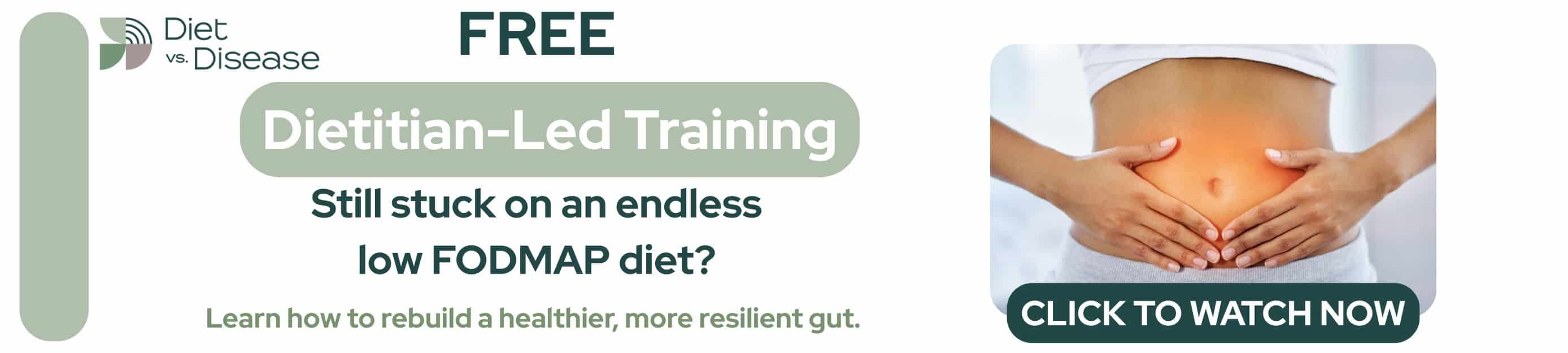 Diet vs Disease banner ad tummy