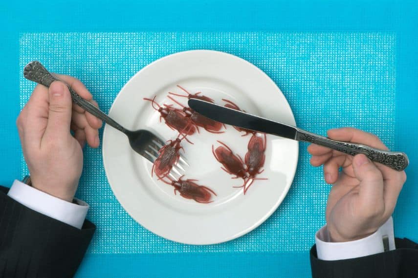 eating cockroaches t tom934 via 123RF