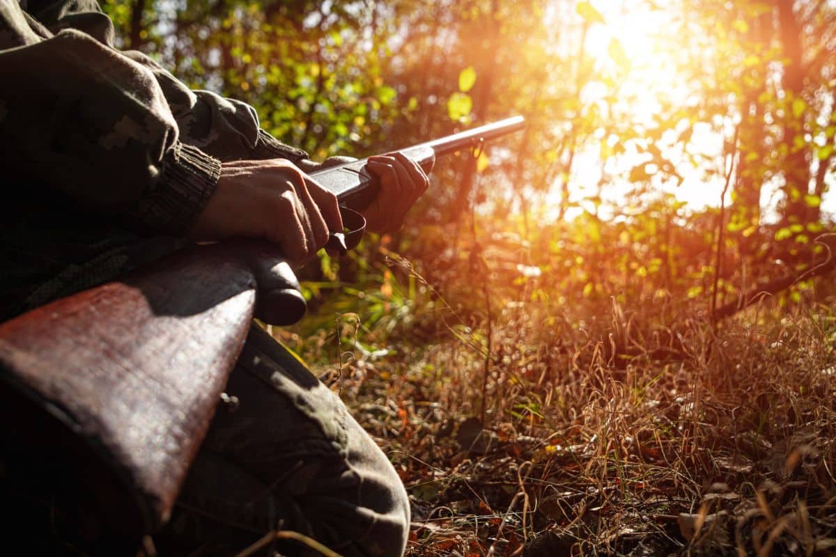 _hunter and shotgun rifle