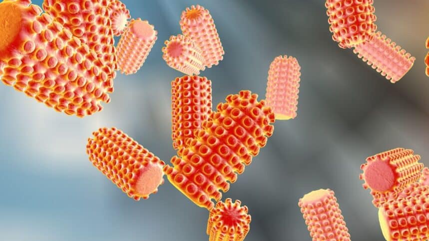Rabies virus