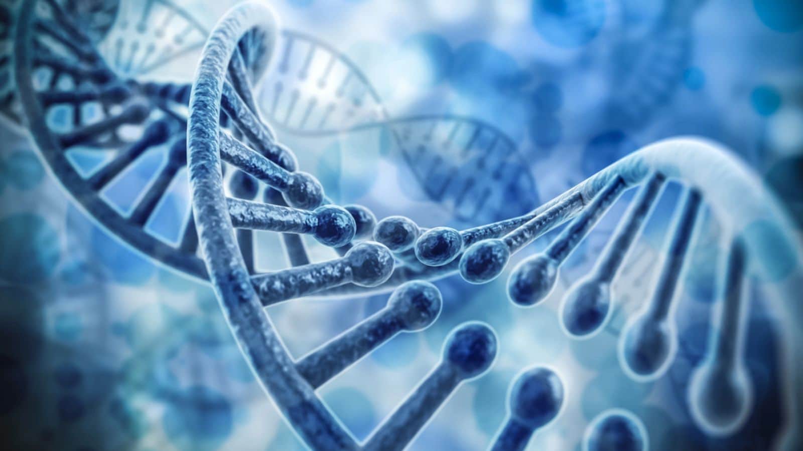 3d render of dna structure