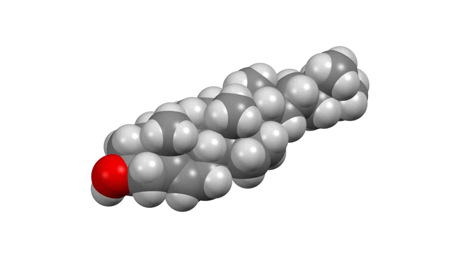 Cholesterol