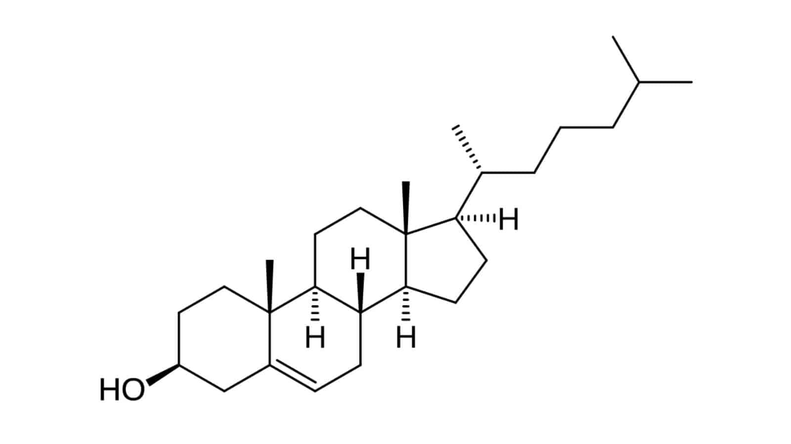 Cholesterol