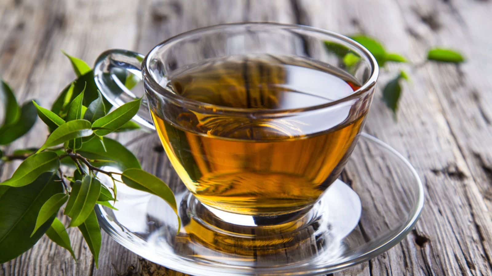 A cup of green tea