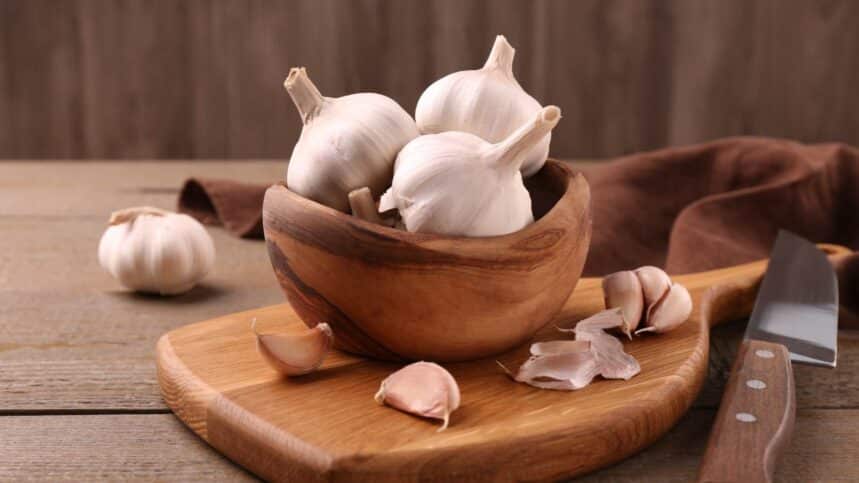 Garlic