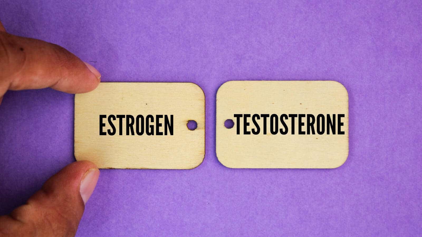 Estrogen-vs-Testosterone