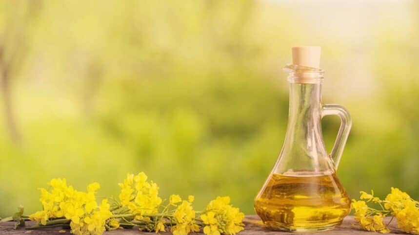Rapeseed oil (canola) and flowers on wooden table