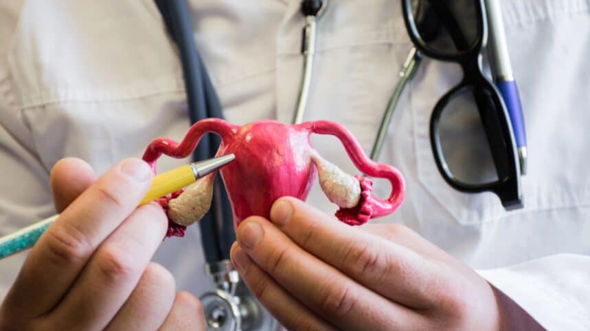 Uterus with ovaries and doctor