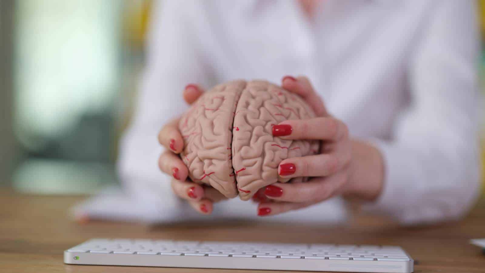Brain