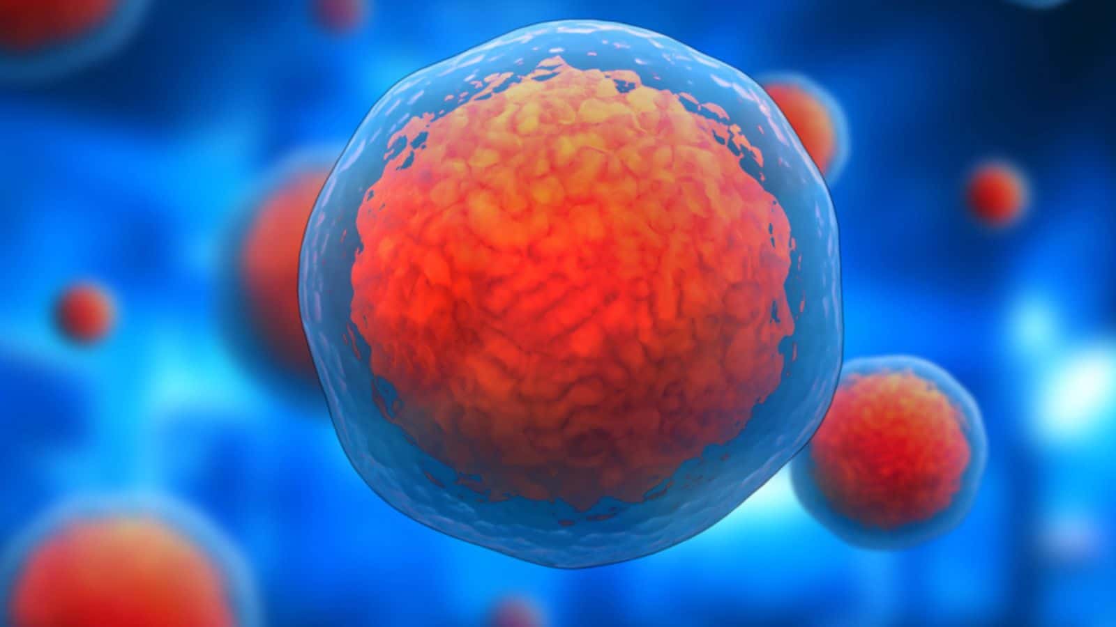 3D illustration of stem cell