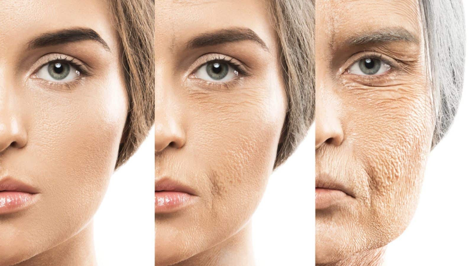 Aging concept
