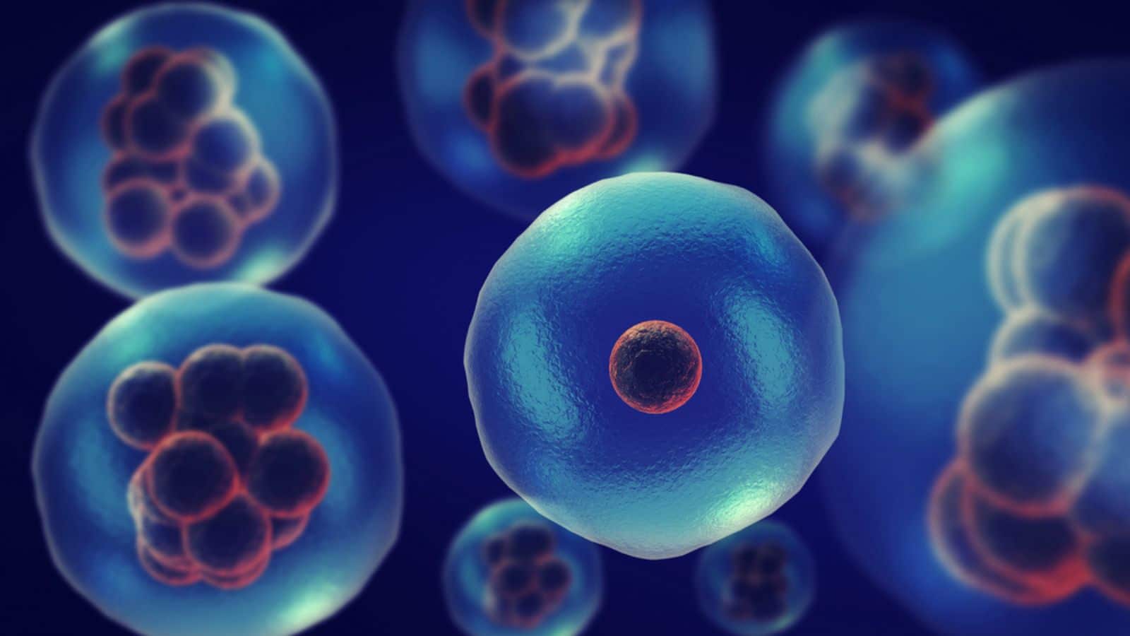 Dividing or multiplying cells