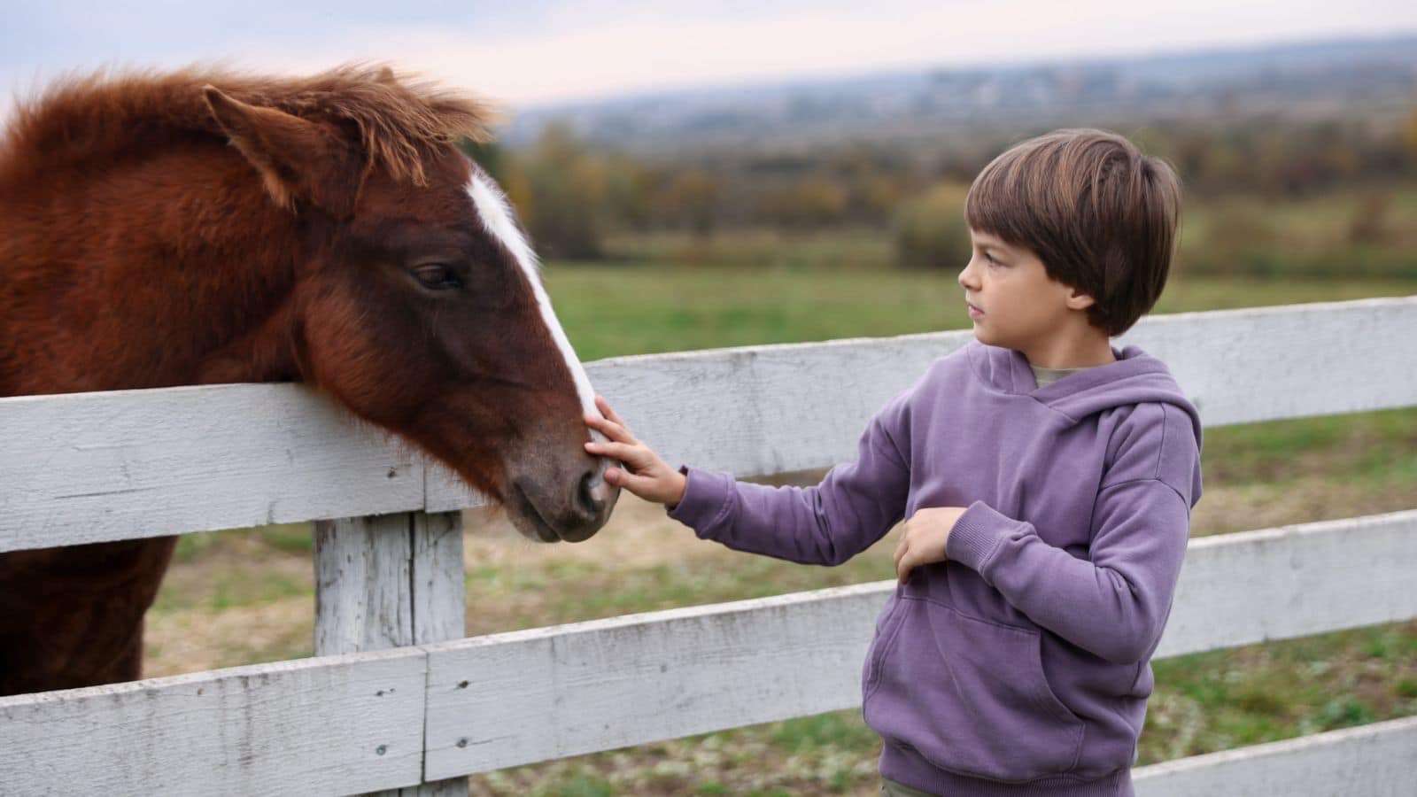 Equine assisted therapy