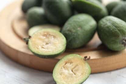 Feijoa Selloana is a fruit crop from tropical regions