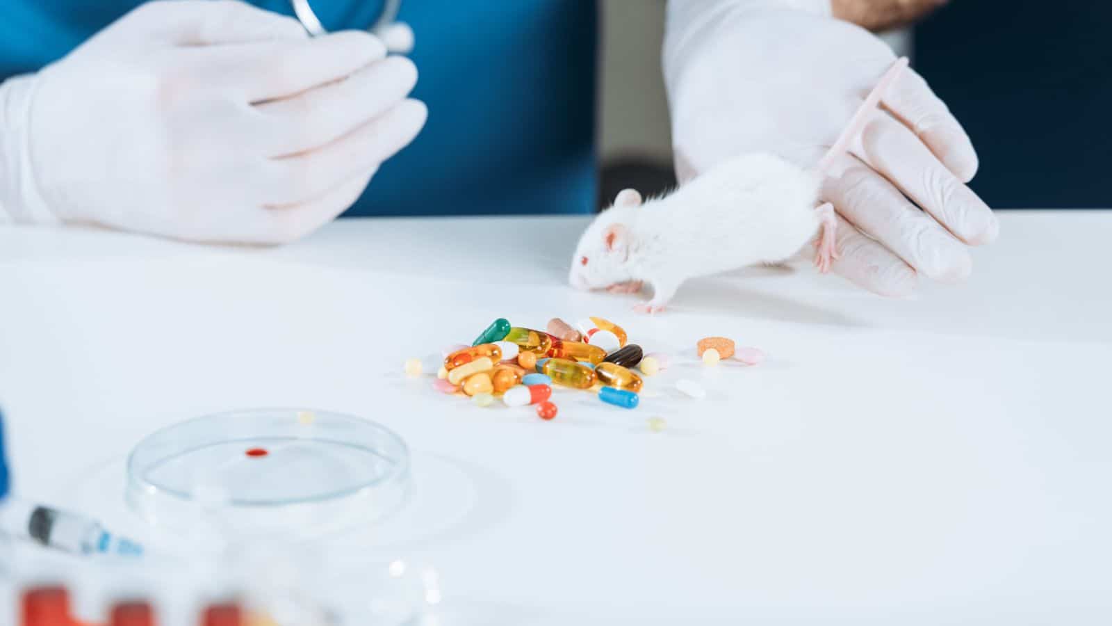 Mouse Experiments